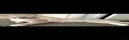 Ragdoll cats for sale: 7 beautiful ragdoll kittens  - Advert 1