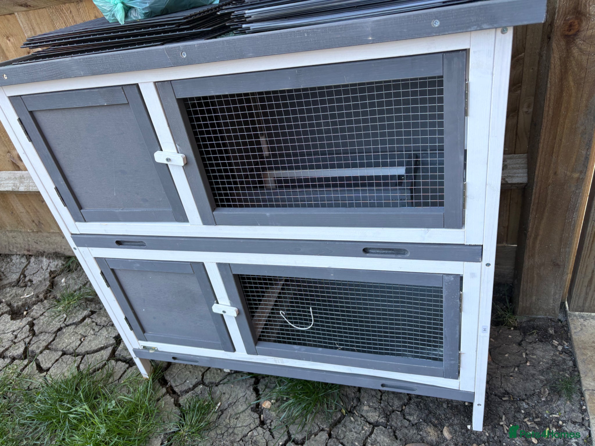 Netherland Dwarf rabbits for sale: Rabbit hutch / run for sale  - Advert 2