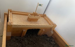 Tortoise reptiles for sale: Herman’s tortoise  - Image 7