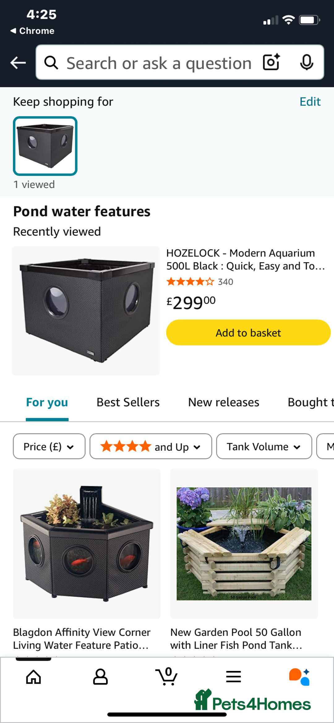 Butterfly Fish fish for sale: Fishpond, including fish in Stourport-on-Severn - Image 7