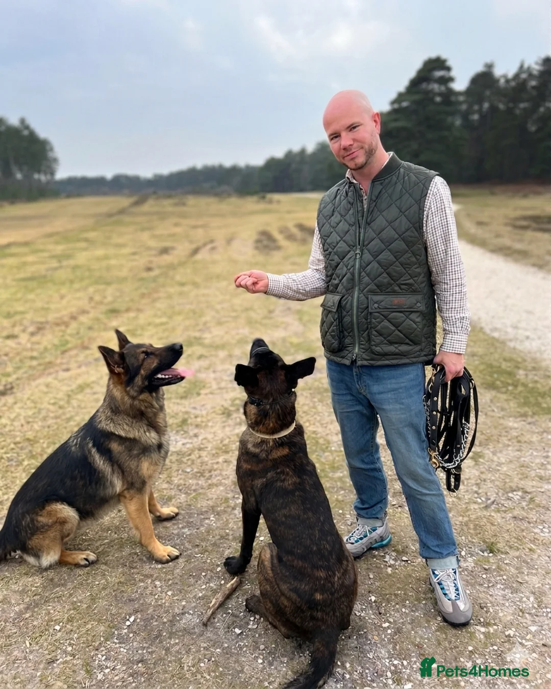 Gallery Image {{count}}