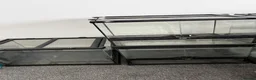 Tarantulas invertebrates for sale: 30-30-30 Exo Terras - Advert 1