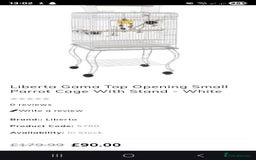 Budgerigars birds for sale: Young Female Budgie with large cage & accessories - Image 3