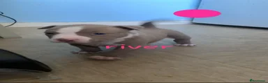 River