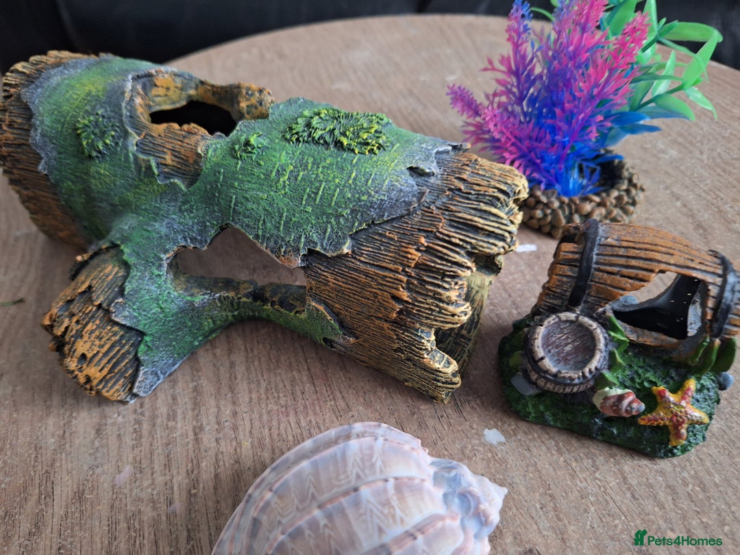 Other/Mixed Breed fish for sale: 60ltr Fishtank with Accessories Only - Image 8