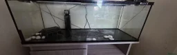 Other/Mixed Breed fish for sale: fish tank & unit  - Advert 3