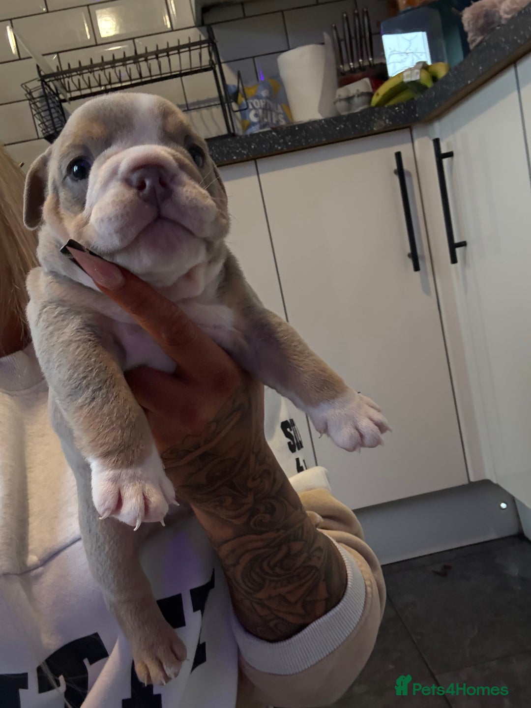 Gallery Image {{count}}