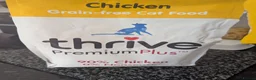 Pygmy Hedgehog rodents for sale: Male African Pygmy hedgehog  - Advert 9