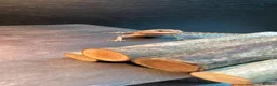 Bearded Dragon reptiles for sale: Bearded dragon  - Advert 1