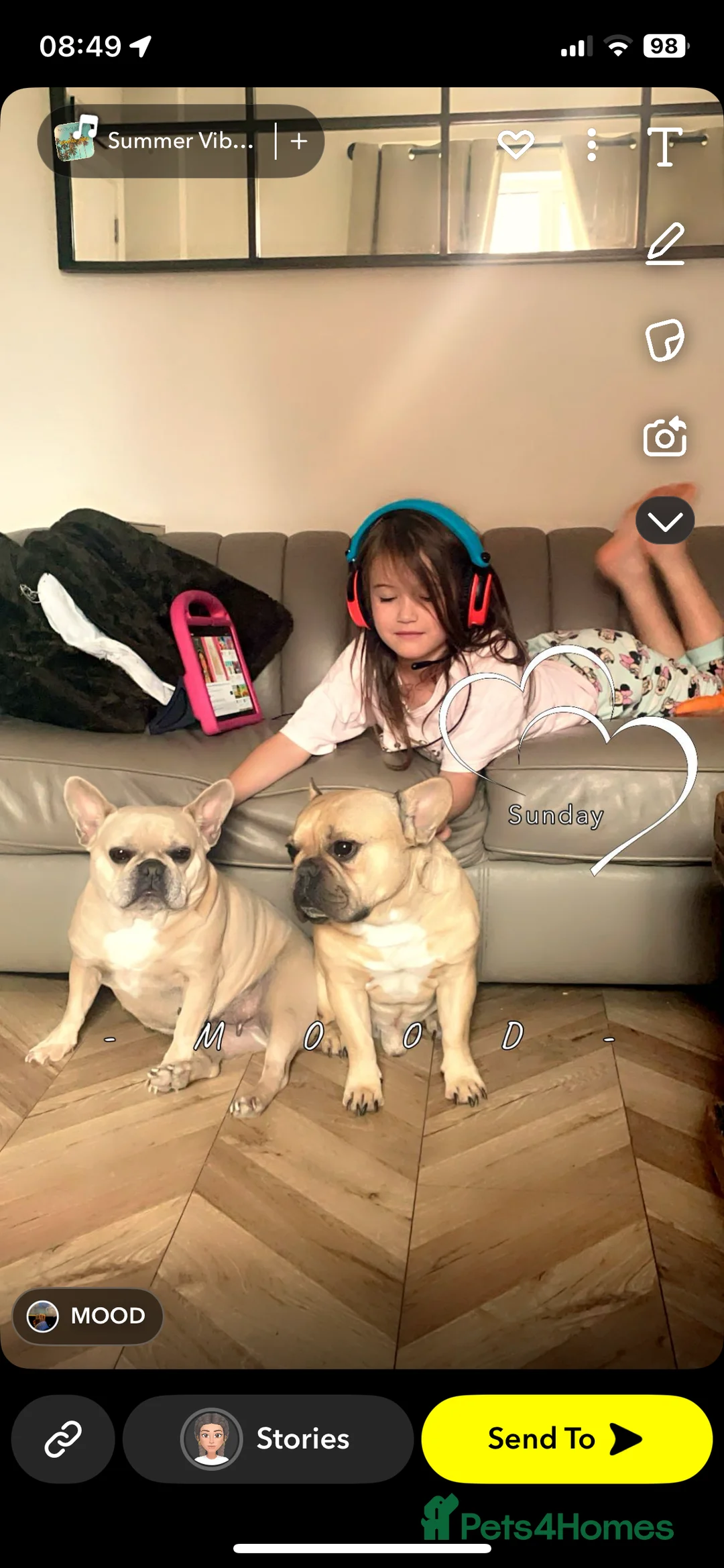 French Bulldog dogs for sale: French bulldogs soulmates - Advert 3