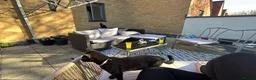 British Shorthair cats for sale: 11 month old black sisters.  in Eastleigh - Advert 5