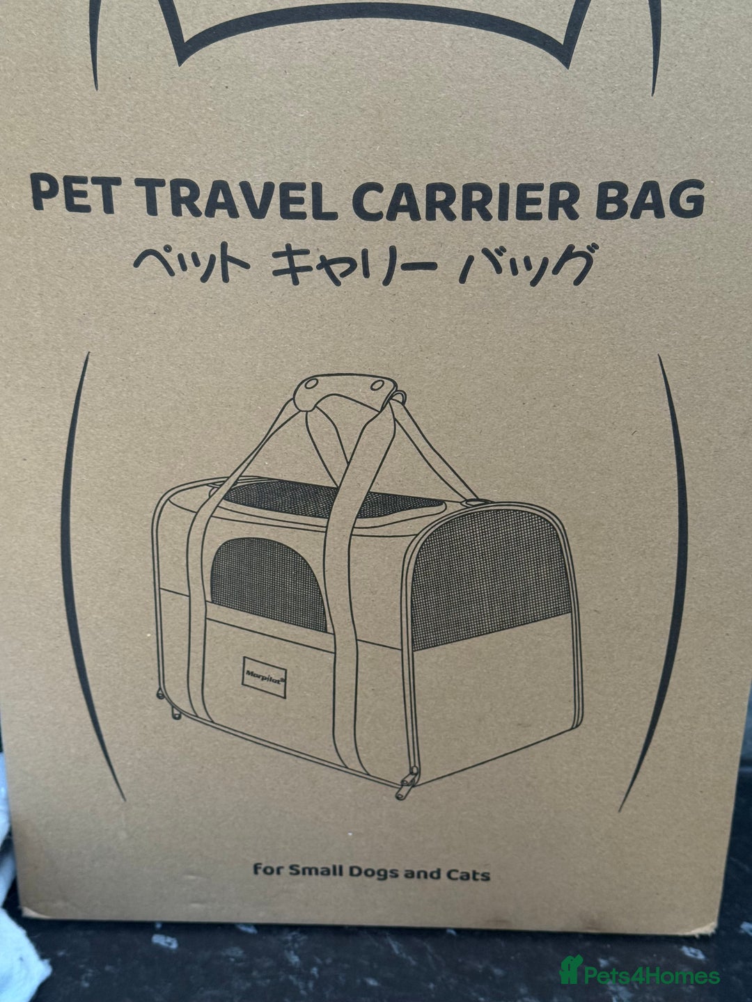 British Shorthair cats for sale: 7-Month-Old Grey British Shorthair  - Advert 5