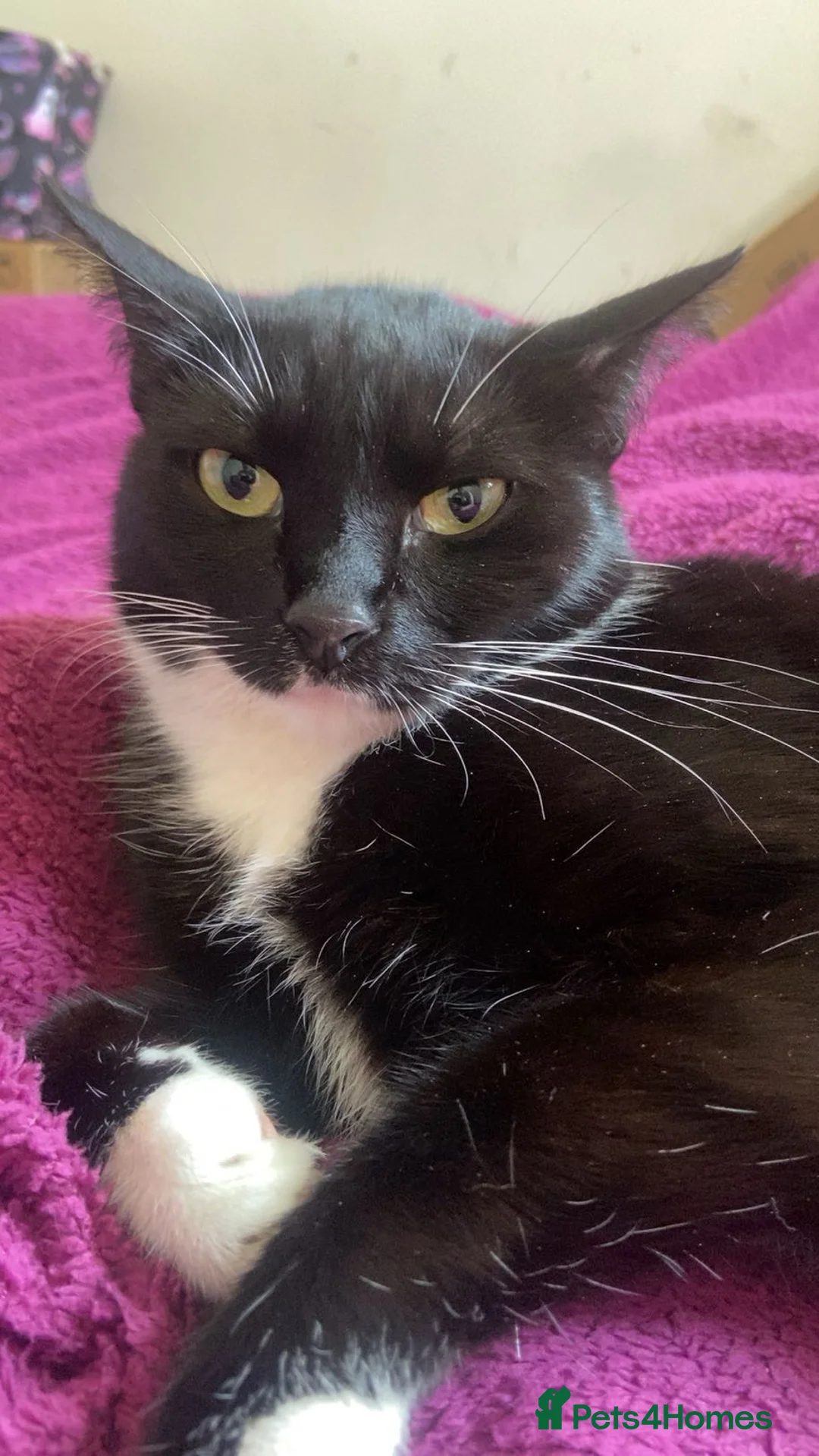 Gallery Image {{count}}