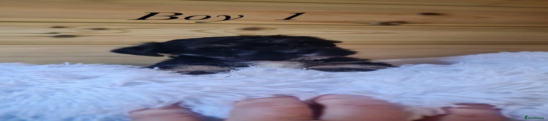 Boy 1