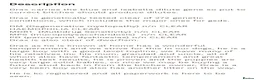 German Shepherd dogs for sale: Original Straight Back German Shepherds  in Staines - Advert 5