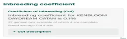 Miniature Dachshund dogs for stud: KC REG STUD, free ovulation test with fee  - Advert 6