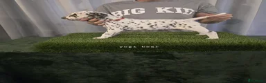 Dalmatian 1