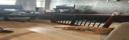 American Bully dogs for sale: American bully  in Telford - Advert 7