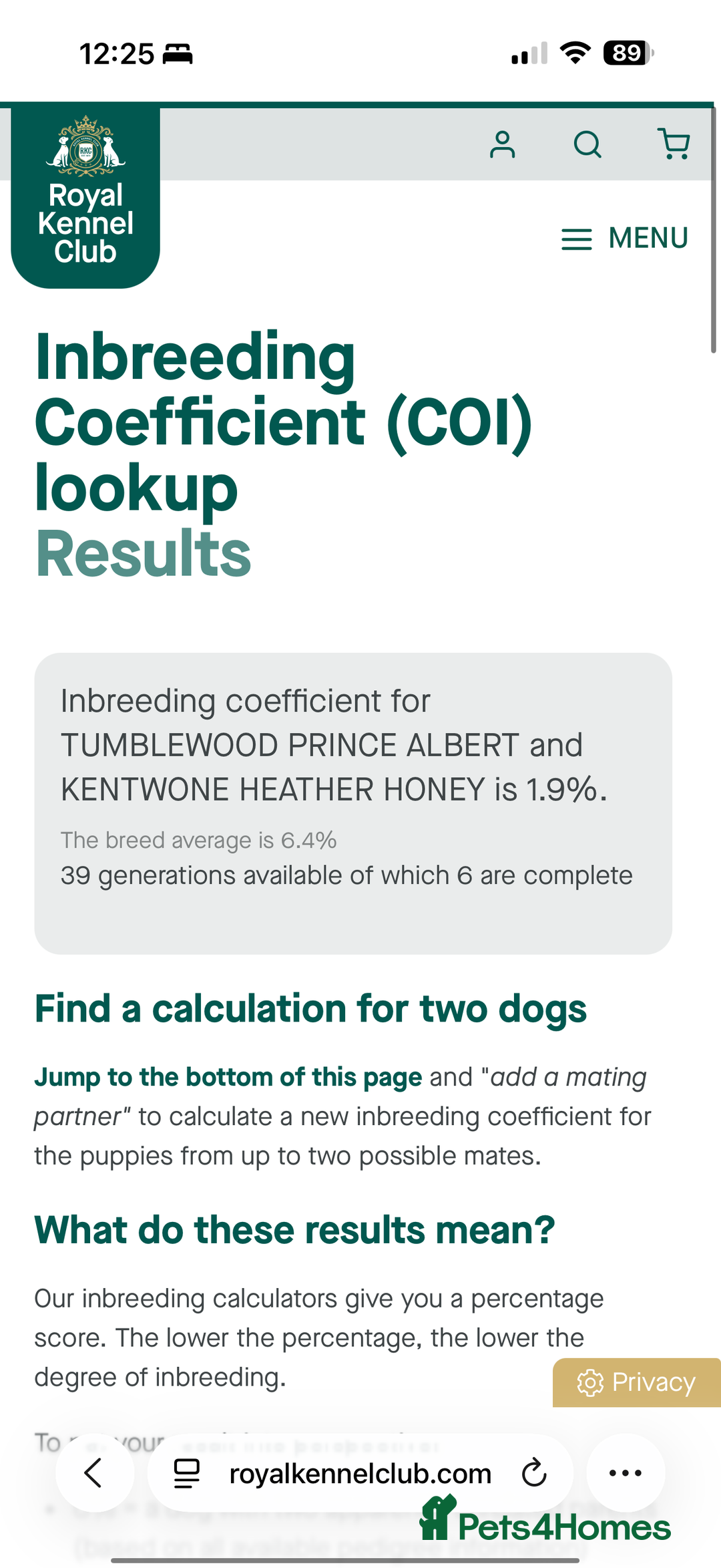 Golden Retriever dogs for sale: KC Dark Golden Retrievers 🧬 Health Tested Parents - Advert 10