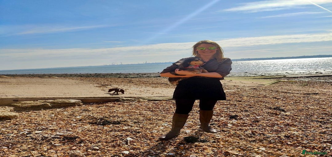 Gallery Image {{count}}