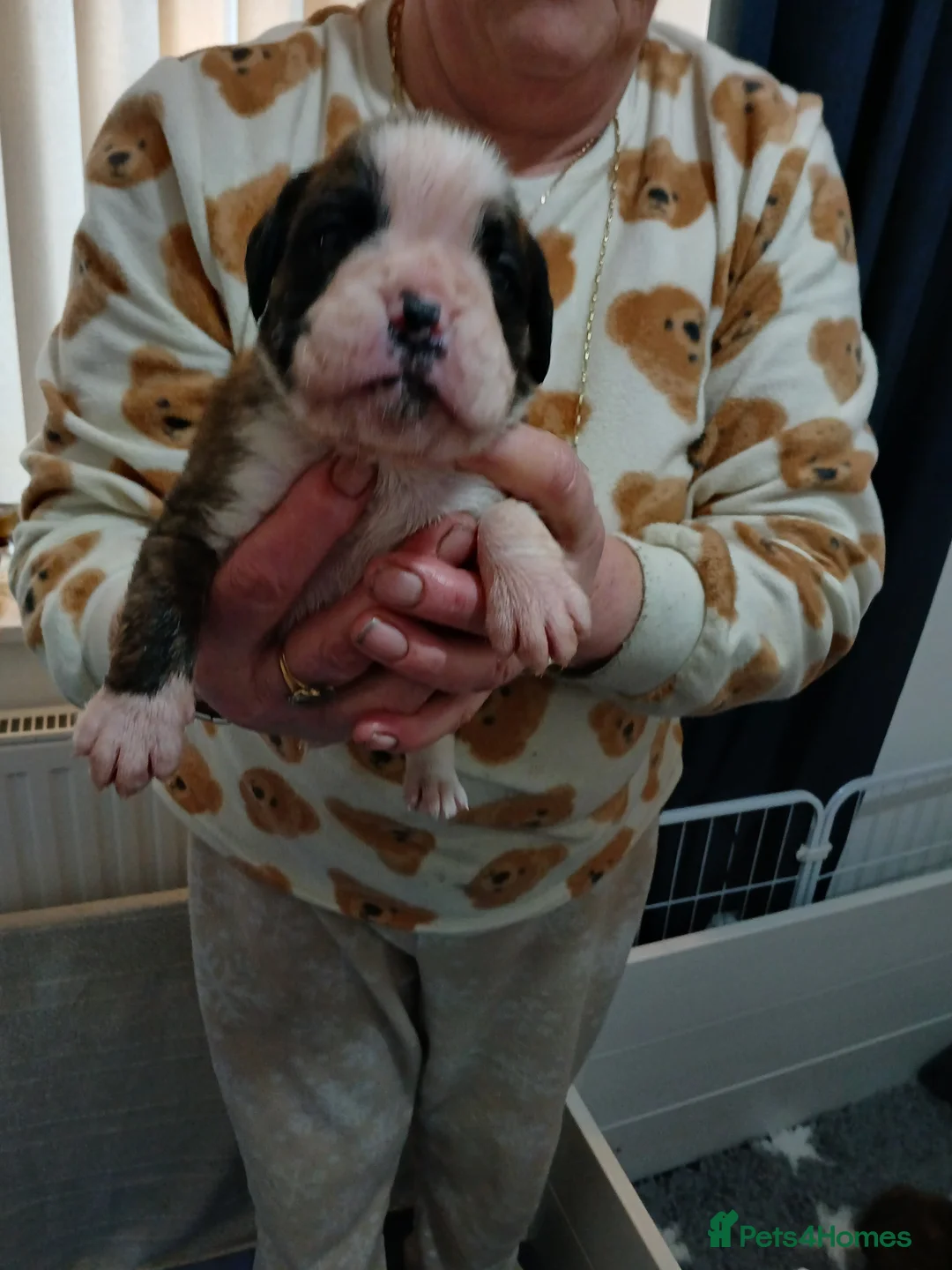 Gallery Image {{count}}