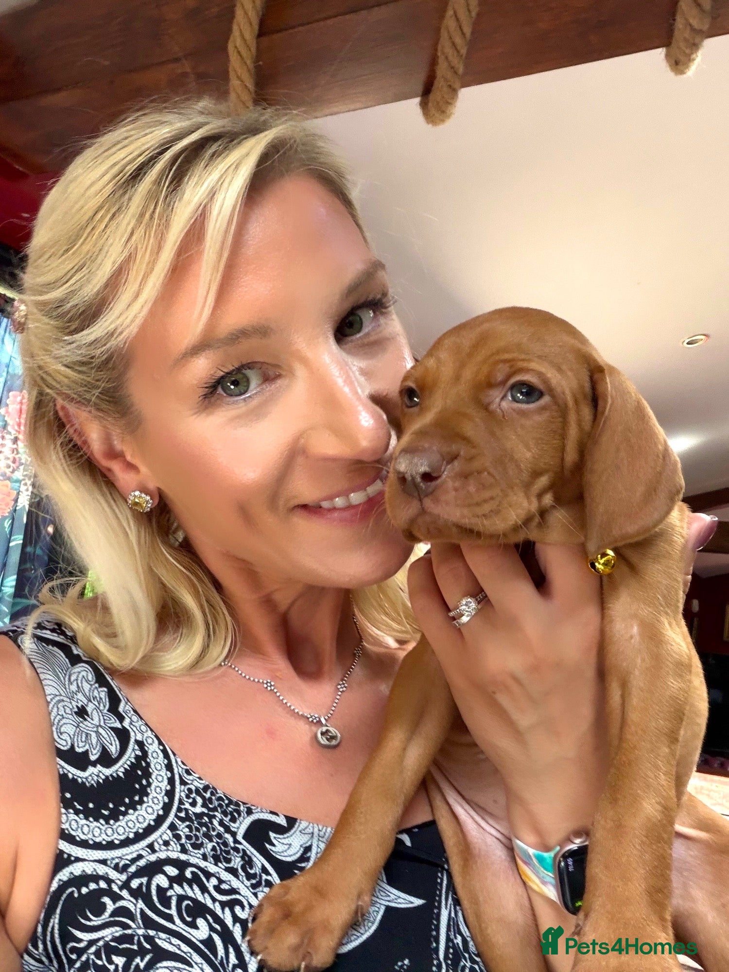 Hungarian Vizsla dogs 5 weeks, selling fast. KC smooth Hungarian Vizslas - Advert 7