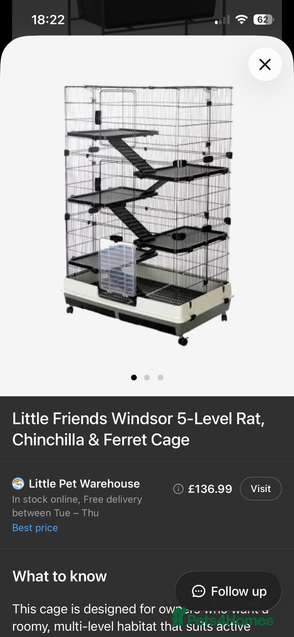 Rat rodents Loving Home Wanted for Two Male Rats + Full Setup - Advert 2