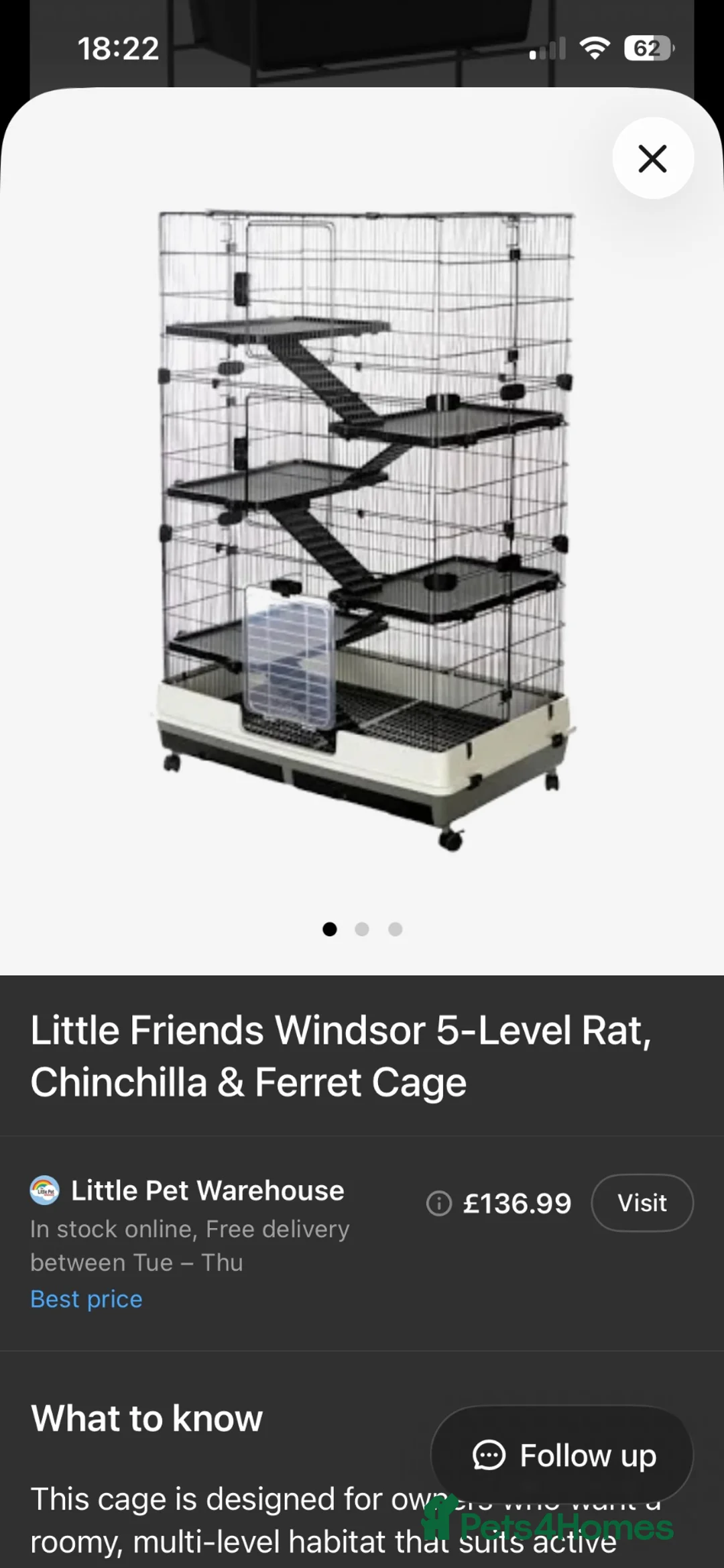 Rat rodents for sale: Loving Home Wanted for Two Male Rats + Full Setup - Advert 2