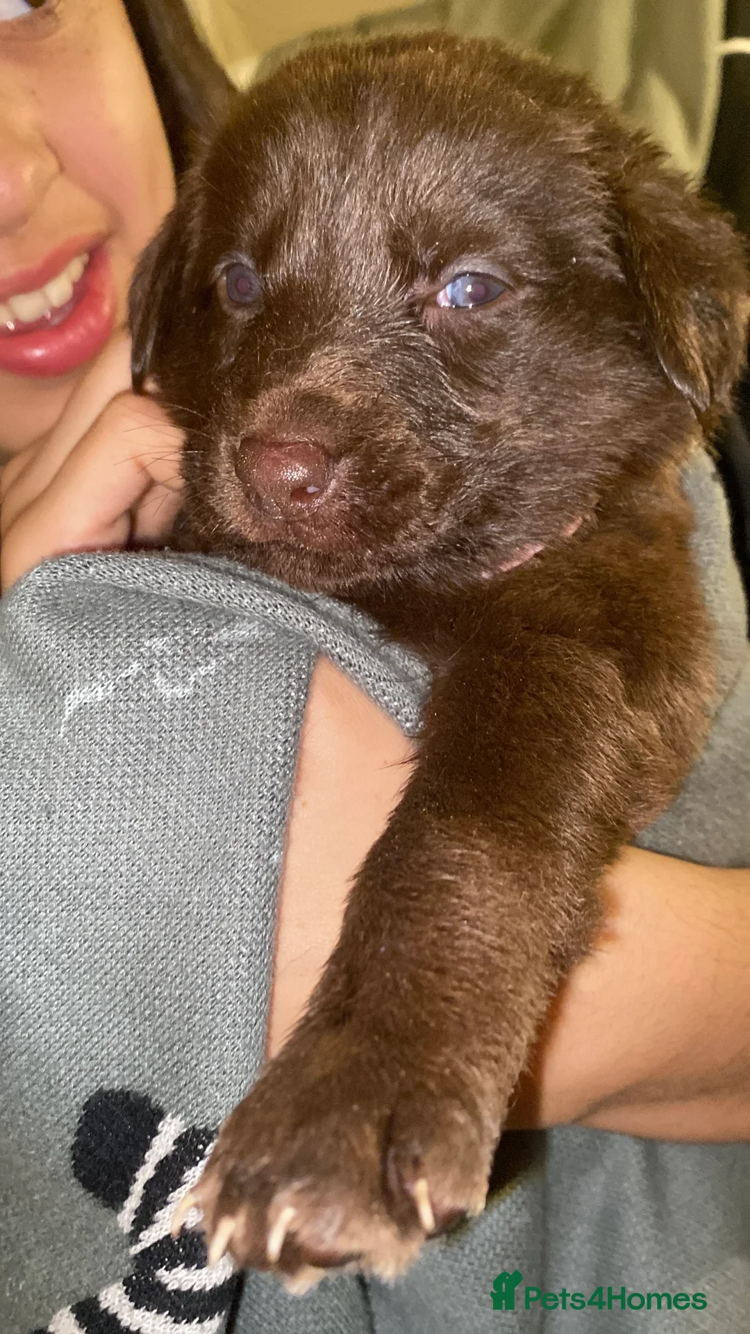 Gallery Image {{count}}