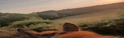 Other Breed horses for sale: Super smart potential PC/RC/Event/Allrounder - Advert 5