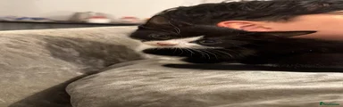 Mixed Breed 3