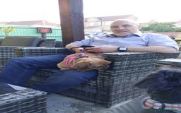 Shih Tzu dogs for sale: Sweet natured miniature female Shitzu  - Advert 2