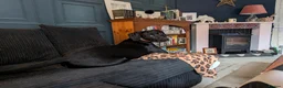 Mixed Breed dogs for sale: Bruno is a rotweiler/lurcher x Spaniel - Advert 2
