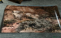 Bearded Dragon reptiles for sale: Reptile accessories and vivarium available - Advert 7