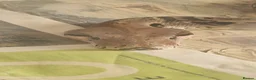 Boa Snake reptiles for sale: Male Common Boa - Advert 3