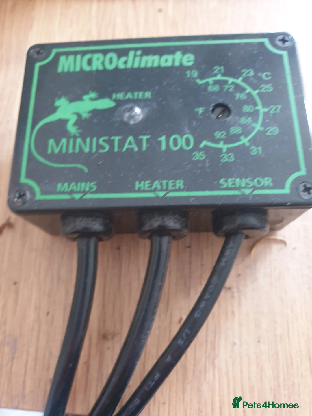 Snake reptiles for sale: Kenyan Sand Boa and enclosure  - Advert 5