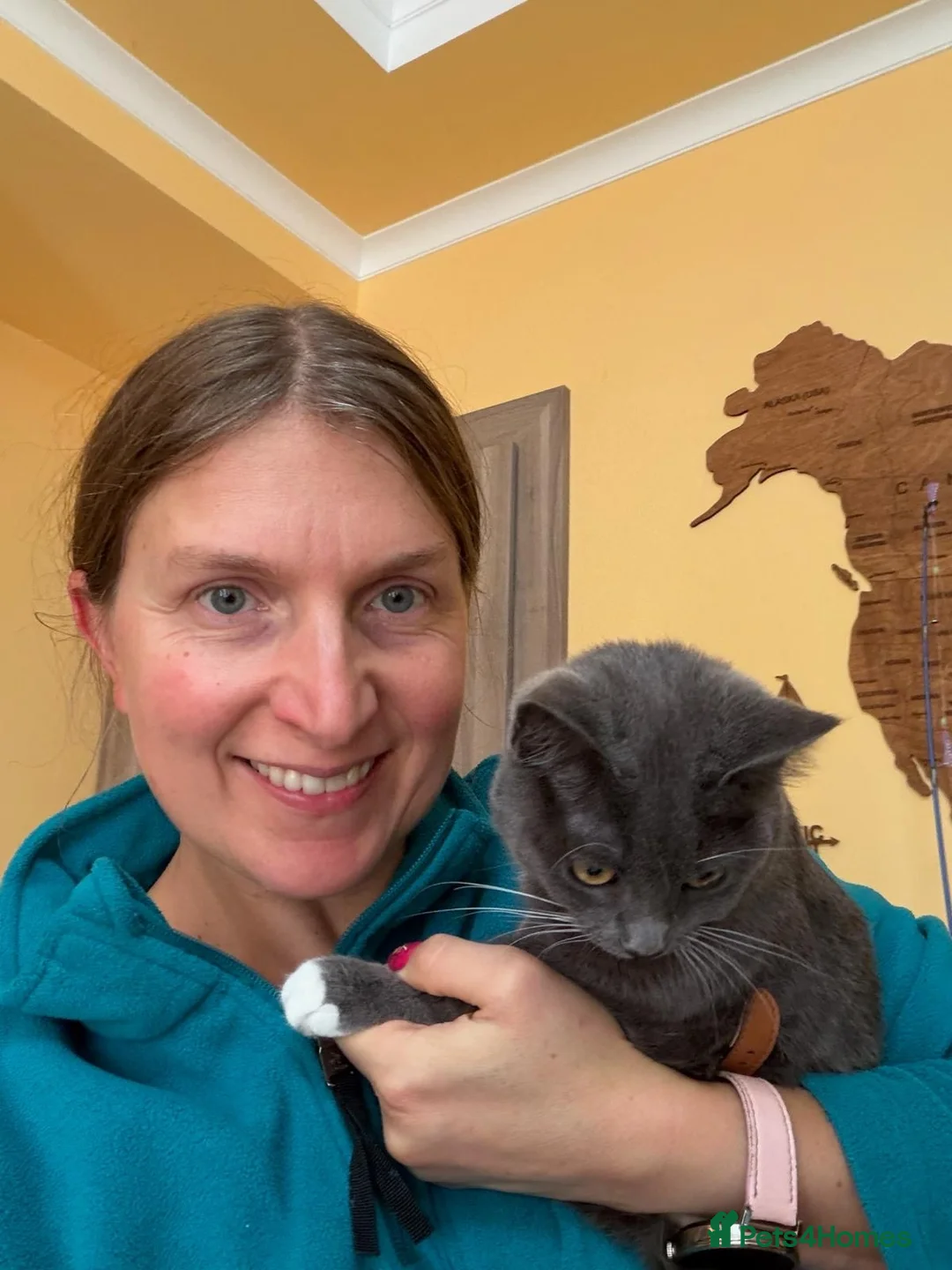 Mixed Breed cats for adoption: ❤️🐱 STORM – DON'T LET HER NAME FOOL YOU in Derby - Advert 2