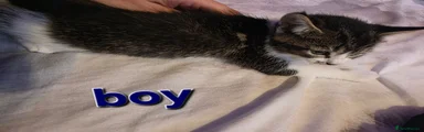 Boy 1 