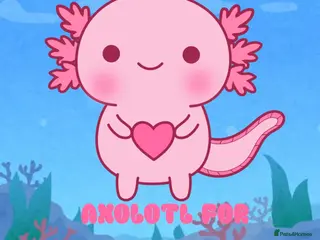 Axolotl reptiles Baby Axolotls For Sale - Advert 3