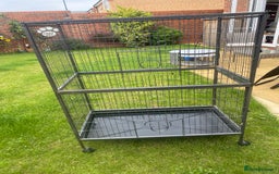 Rat rodents for sale: Rat cage for sale  - Image 1