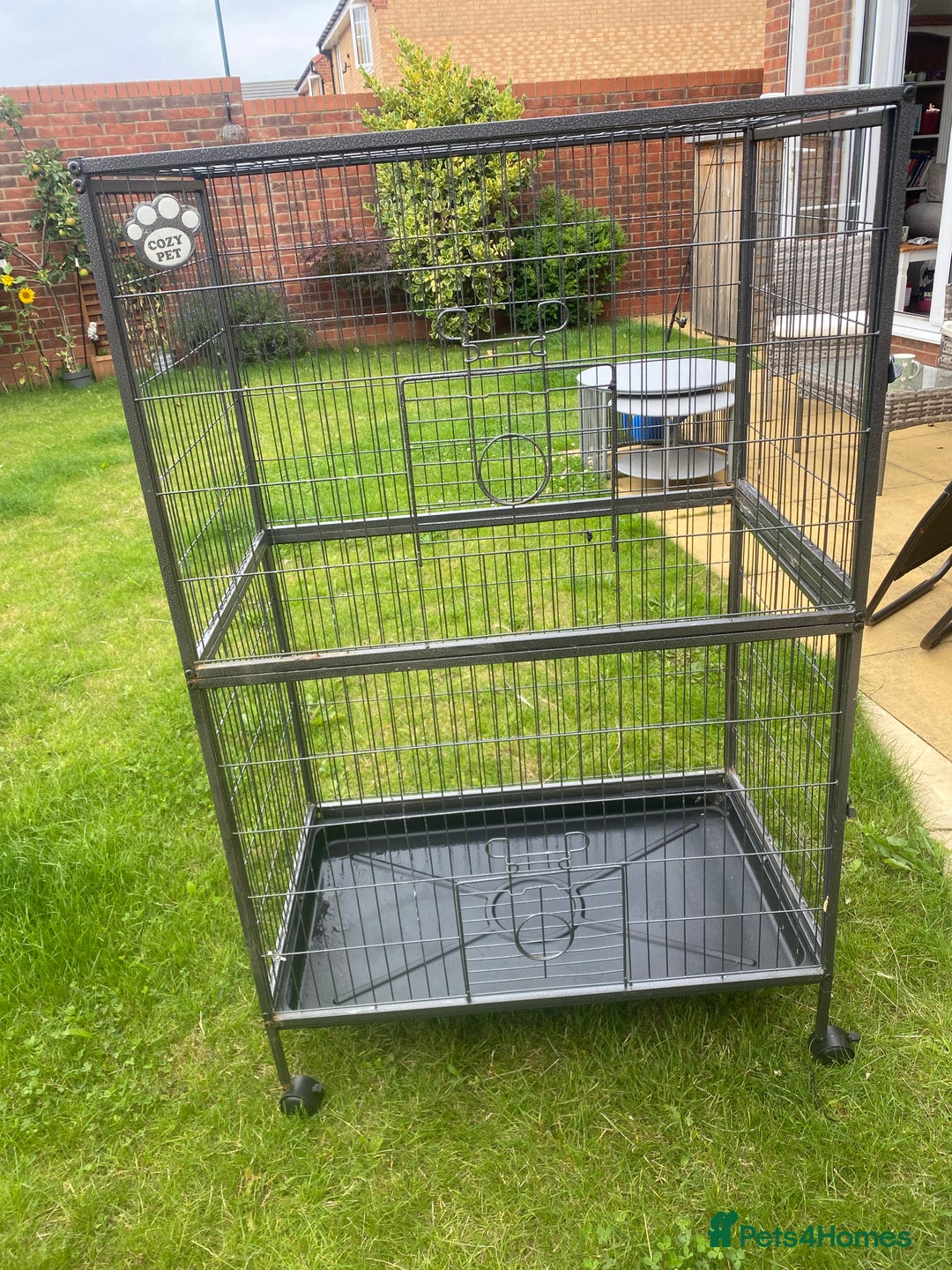 Rat rodents for sale: Rat cage for sale  - Image 1