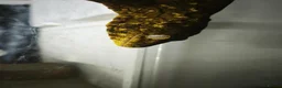 Gecko reptiles for sale: Adult Leachianus Mt Koghis Male and female - Advert 1