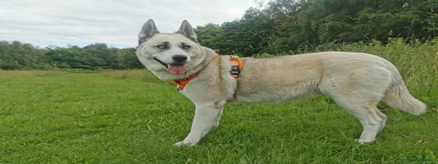 Luna