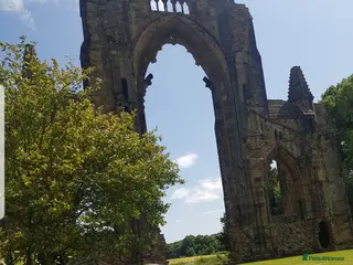 Cocker Spaniel dogs Male 2 year old Cocker Spaniel - Advert 1