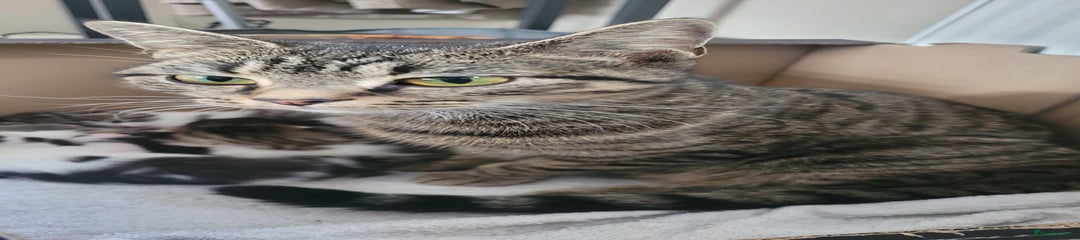 Luna, mum, 2 yrs old 