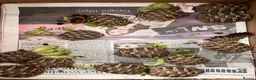 Tortoise reptiles for sale: Stunning baby Hermann Tortoises CB in the UK - Advert 5