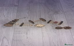 Hamster rodents for sale: playful hamster for sale. - Image 7