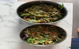 Budgerigars birds for sale: Young budgies happy&healthy in London - Image 30