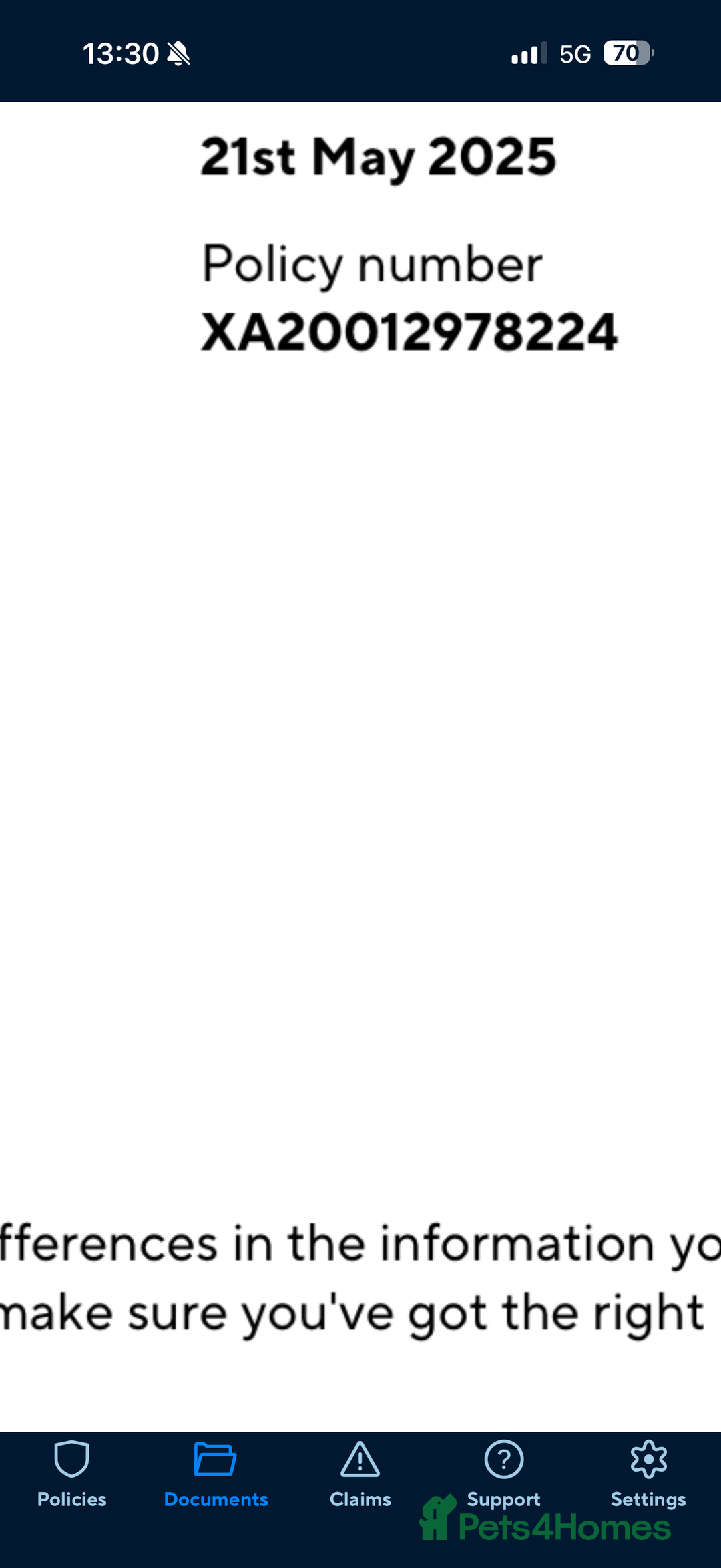 Mixed Breed cats for sale: Beautiful long and short haired kittens  - Advert 20