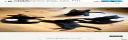 Bombay cats for sale: Beautiful black kittens looking for loving home - Advert 3